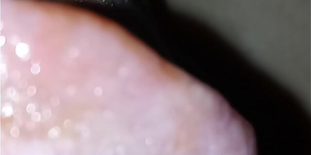 blowjob,licking