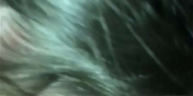 blowjob,cum