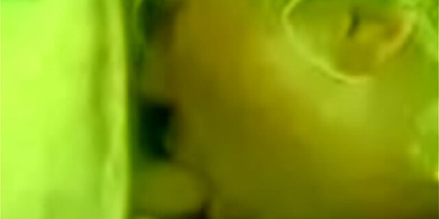 blowjob,deepthroat,licking